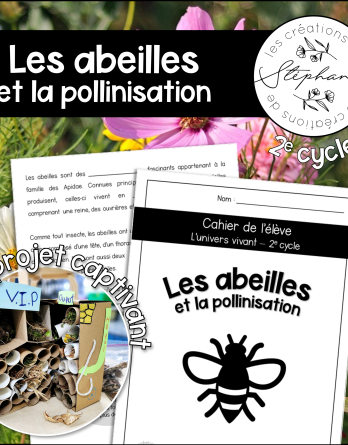 Les abeilles et la pollinisation