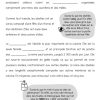 Les abeilles et la pollinisation – Image 2