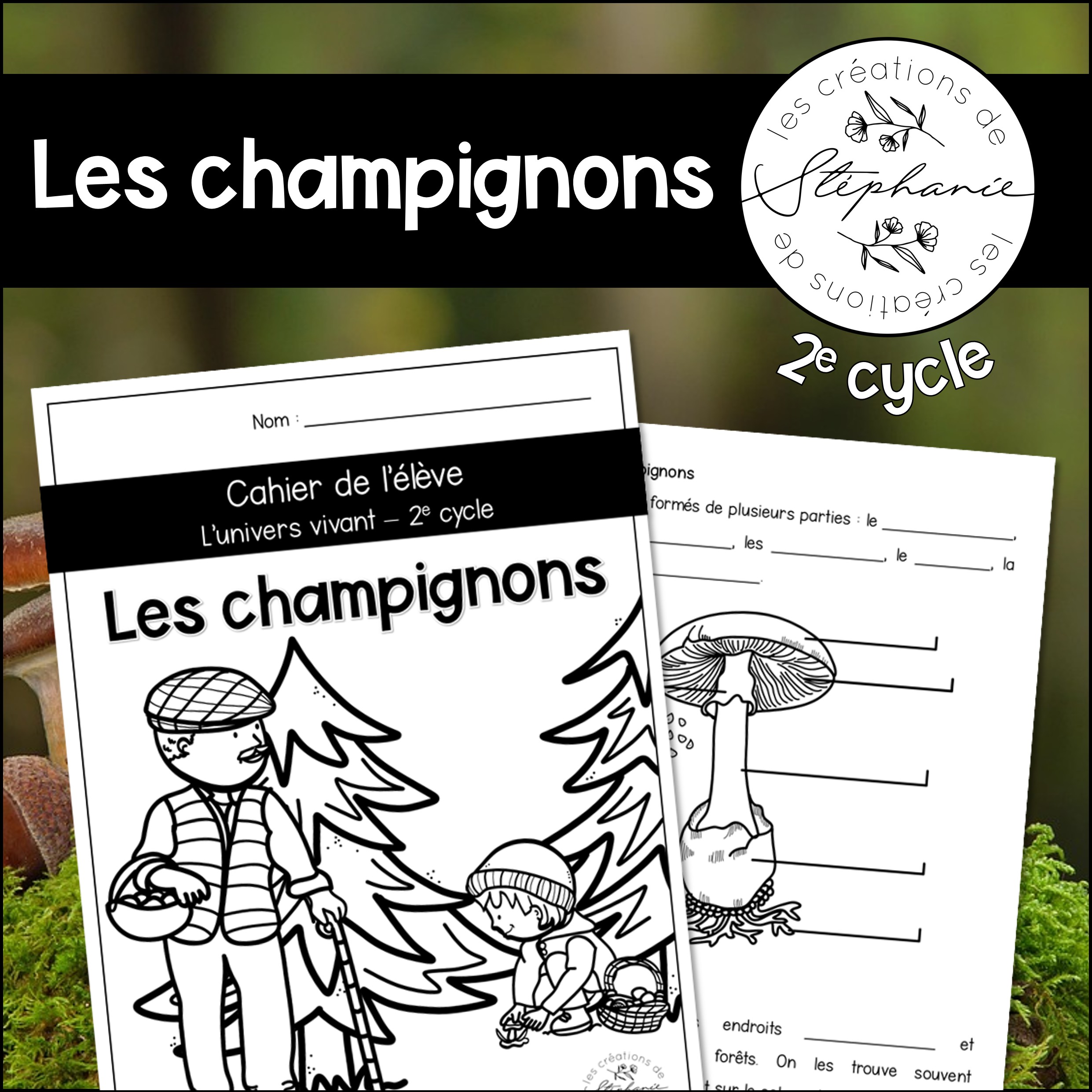 Les champignons